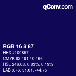 Color code: RGB 16 8 87 | qconv.com