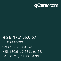 カラーコード: RGB 17.7 56.6 57 | qconv.com