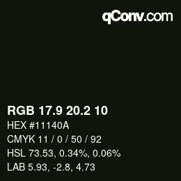 Color code: RGB 17.9 20.2 10 | qconv.com