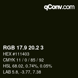 Color code: RGB 17.9 20.2 3 | qconv.com