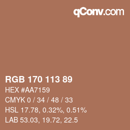Color code: RGB 170 113 89 | qconv.com