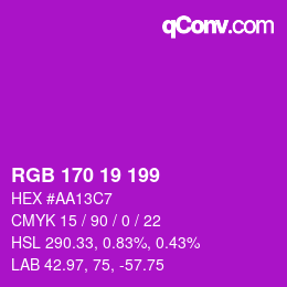 Color code: RGB 170 19 199 | qconv.com