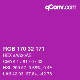Color code: RGB 170 32 171 | qconv.com