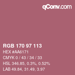 Color code: RGB 170 97 113 | qconv.com
