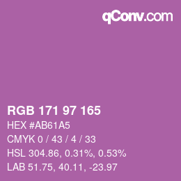 颜色代码: RGB 171 97 165 | qconv.com