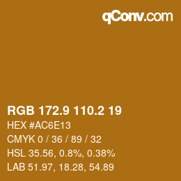 Color code: RGB 172.9 110.2 19 | qconv.com