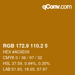 Color code: RGB 172.9 110.2 5 | qconv.com