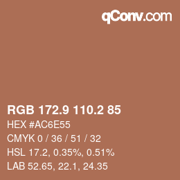 Color code: RGB 172.9 110.2 85 | qconv.com