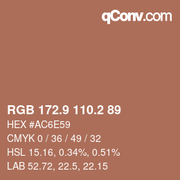 Color code: RGB 172.9 110.2 89 | qconv.com