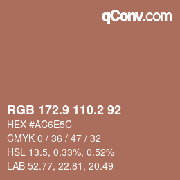 Color code: RGB 172.9 110.2 92 | qconv.com