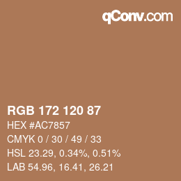 颜色代码: RGB 172 120 87 | qconv.com