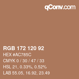 Color code: RGB 172 120 92 | qconv.com