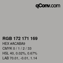Color code: RGB 172 171 169 | qconv.com