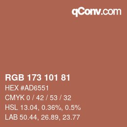 Color code: RGB 173 101 81 | qconv.com