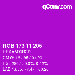 Color code: RGB 173 11 205 | qconv.com