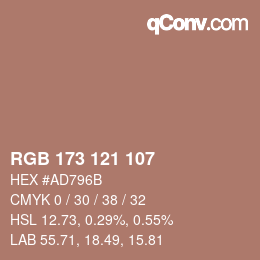 Color code: RGB 173 121 107 | qconv.com