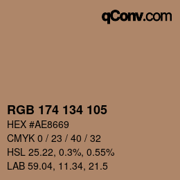 Color code: RGB 174 134 105 | qconv.com