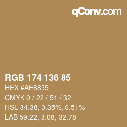 Color code: RGB 174 136 85 | qconv.com