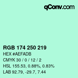 Color code: RGB 174 250 219 | qconv.com