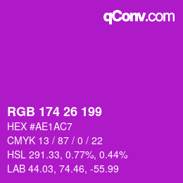 Color code: RGB 174 26 199 | qconv.com