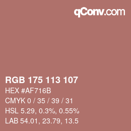 Color code: RGB 175 113 107 | qconv.com