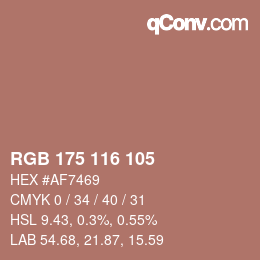 Color code: RGB 175 116 105 | qconv.com