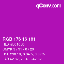 Color code: RGB 176 16 181 | qconv.com