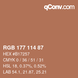 Color code: RGB 177 114 87 | qconv.com