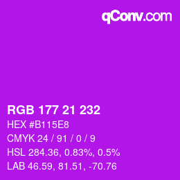 Color code: RGB 177 21 232 | qconv.com