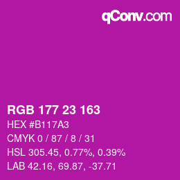 Color code: RGB 177 23 163 | qconv.com