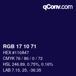 Color code: RGB 17 10 71 | qconv.com