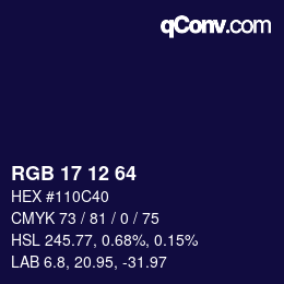 Color code: RGB 17 12 64 | qconv.com