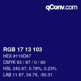Color code: RGB 17 13 103 | qconv.com