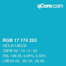 Color code: RGB 17 174 203 | qconv.com