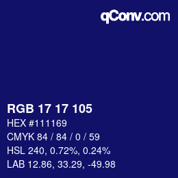 Color code: RGB 17 17 105 | qconv.com