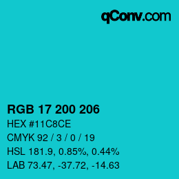 Color code: RGB 17 200 206 | qconv.com