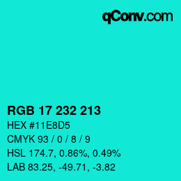 Color code: RGB 17 232 213 | qconv.com