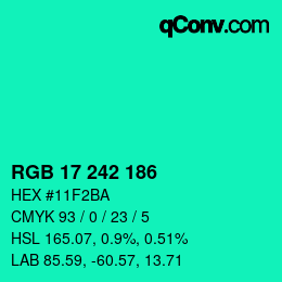 Color code: RGB 17 242 186 | qconv.com