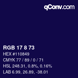 Color code: RGB 17 8 73 | qconv.com