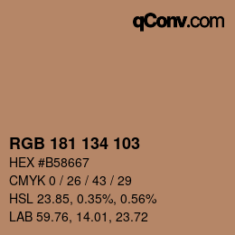 Color code: RGB 181 134 103 | qconv.com