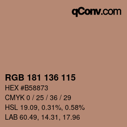 Color code: RGB 181 136 115 | qconv.com