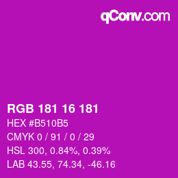 Color code: RGB 181 16 181 | qconv.com
