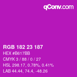 Color code: RGB 182 23 187 | qconv.com