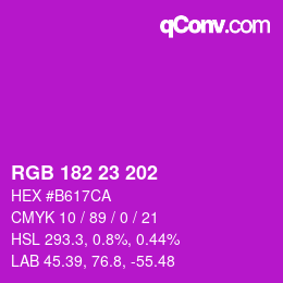 Color code: RGB 182 23 202 | qconv.com