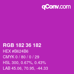 カラーコード: RGB 182 36 182 | qconv.com