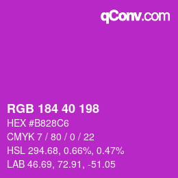 Color code: RGB 184 40 198 | qconv.com
