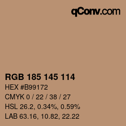 Color code: RGB 185 145 114 | qconv.com