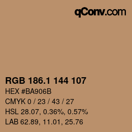 Color code: RGB 186.1 144 107 | qconv.com