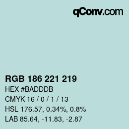 Color code: RGB 186 221 219 | qconv.com