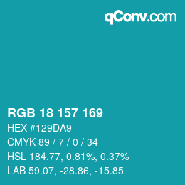 Color code: RGB 18 157 169 | qconv.com
